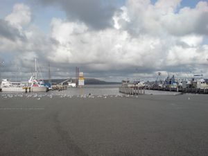 에뮤 포인트(Emu Point) 보트 선착장과 경사로