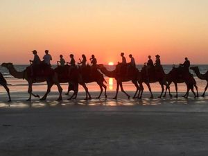 서호주 브룸의 케이블 비치(Cable Beach)에서는 낙타 타기가 인기 있는 관광 활동이다.
