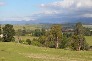 홉 농장이 있는 더웬트 밸리