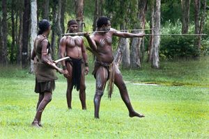 호주 원주민들은 노던 준주의 토지의 약 49%를 소유하고 있다