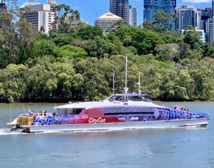 트랜스데브 브리즈번 페리의 시티캣 페리가 가든스 포인트의 시티 보태닉 가든을 지나가는 모습
