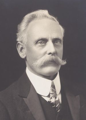 윌리엄 맥윌리엄스(William McWilliams), 1920~1921년 국민당 당수