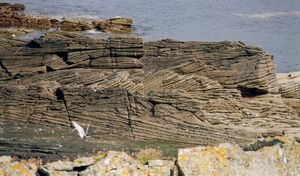 브레세이(Shetland Islands)의 올드 레드 사암(Old Red Sandstone, 데본기(Devonian))에서 발견되는 사암의 교차층리