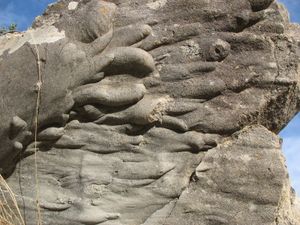 스페인의 트라이아스기(Triassic) 사암의 수직 층의 바닥에서 발견되는 솔 표지(sole marking)의 한 종류인 플루트 캐스트(flute cast)들