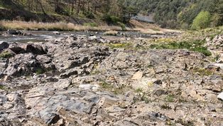 [[태백시]] [[동점동]] [[태백고생대자연사박물관]] 앞 [[황지천]] 하상에 드러난 [[조선 누층군]] 직운산층의 노두