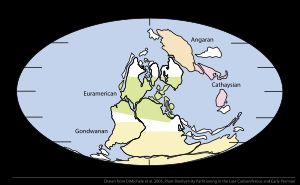3억 년 전 페름기-석탄기 경계 시대의 세계의 네 가지 식물 지리 구
