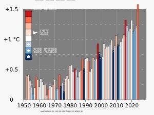 막대의 색깔은 엘니뇨(빨강)와 라니냐(파랑) 현상이 나타난 해를, 막대의 길이는 지구 평균 지표면 온도 변화의 강도를 나타낸다. 엘니뇨 현상이 나타나는 해는 일반적으로 그 해의 지구 온도 상승과 상관관계가 있다.