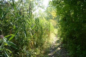 캐나다의 톨그래스 프레리 헤리티지 공원 하이킹