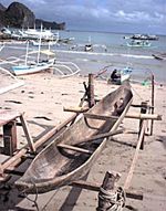 속을 파낸 카누