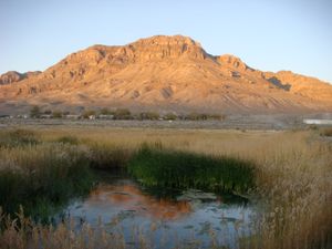 피쉬 스프링스 국립 야생동물 보호구역 북동쪽 모퉁이에 있는 피쉬 스프링스 산맥의 미들 스프링