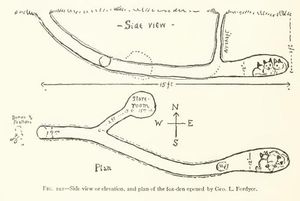 붉은여우 굴의 측면 및 위쪽 모습