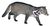 Malay civet