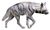 Striped hyena