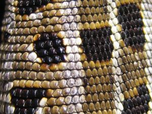 도마뱀붙이의 피부. 유린목 파충류의 대표적인 비늘을 보여준다.