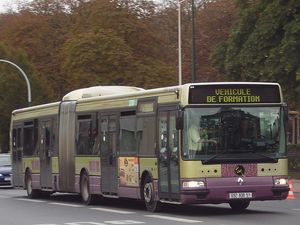 로스앤젤레스의 굴절버스