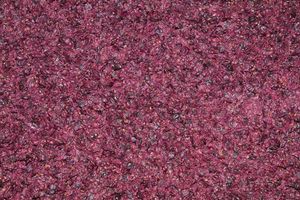 서호주에서 와인을 만들기 위해 발효되는 포도