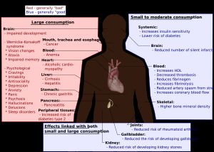 알코올의 장기적인 영향 중 일부. 임산부의 경우 알코올은 태아알코올증후군을 유발할 수 있다.