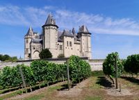 프랑스 루아르 계곡 소뮤르에 있는 샤토와 포도밭