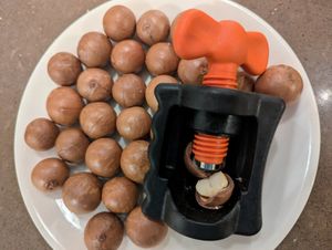 접시에 껍질을 까지 않은 마카다미아 너트와 나사식 마카다미아 너트 크래커