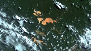 파라 주의 보크사이트 채굴