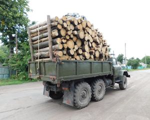 원목을 운반하는 트럭