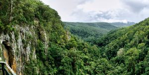 펄링 브룩 폭포 전망대에서 본 모습 (펄링 브룩 폭포(Purling Brook Falls), 골드코스트 배후지(Gold Coast hinterland))