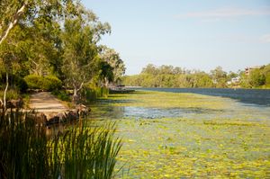 타운즈빌을 가로지르는 로스 강