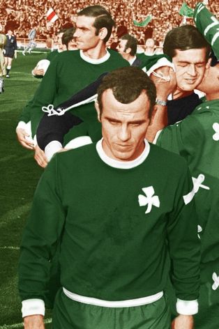 미미스 도마조스