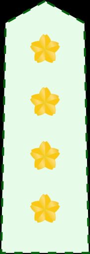 통합·육상막료장 갑계급장