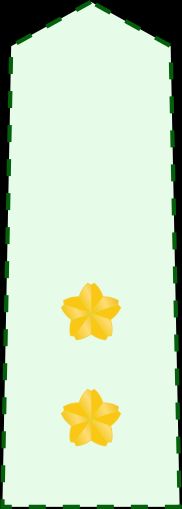 육장보 갑계급장