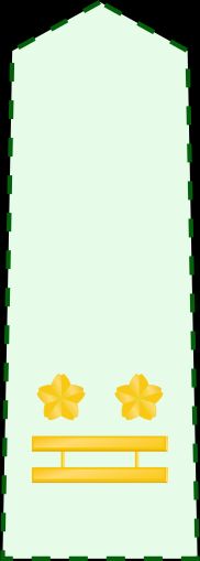 2등육좌 갑계급장