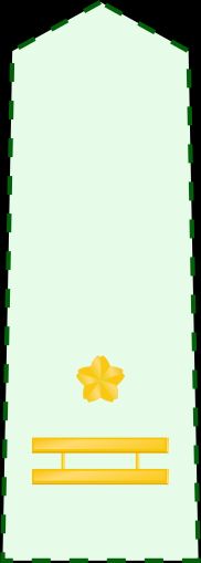 3등육좌 갑계급장