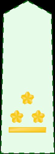 1등육위 갑계급장