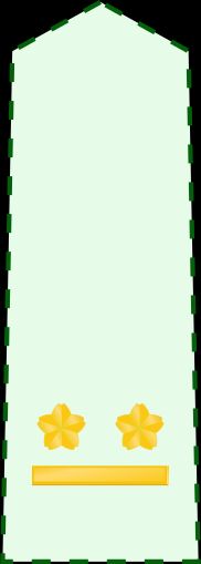 2등육위 갑계급장