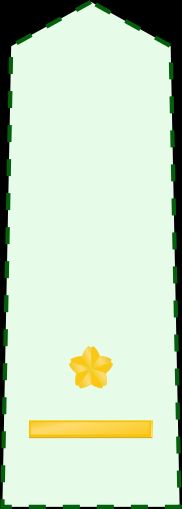 3등육위 갑계급장