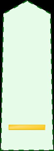 준육위 갑계급장