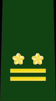 2등육좌 을계급장