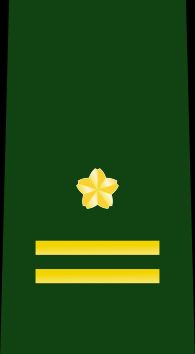 3등육좌 을계급장