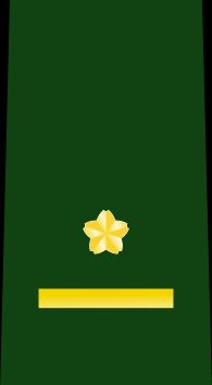 3등육위 을계급장