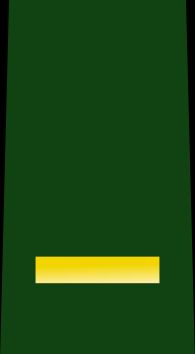 준육위 을계급장