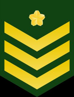 육사장 갑계급장