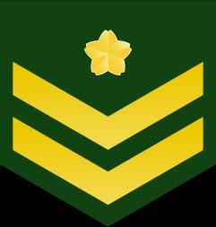 1등육사 갑계급장