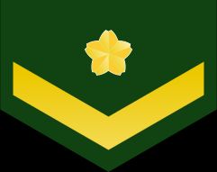 2등육사 갑계급장