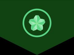 자위관후보생 갑계급장