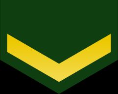 3등육사 갑계급장