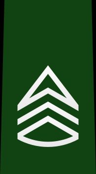 육조장 을계급장