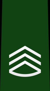 1등육조 을계급장