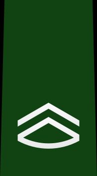 2등육조 을계급장