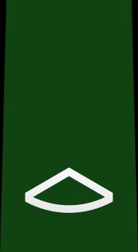 3등육조 을계급장