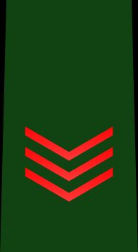 육사장 을계급장